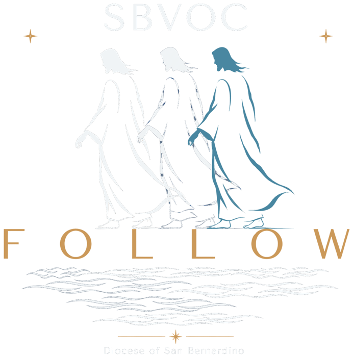 SBVOC Follow logo